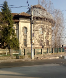 Colegiul Național "Ioniță Asan"