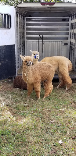 Nature Preserve «Chattahoochee Nature Center», reviews and photos, 9135 Willeo Rd, Roswell, GA 30075, USA