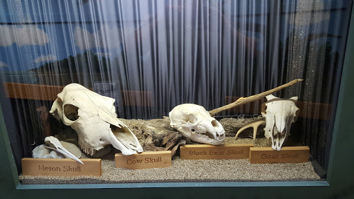 Nature Preserve «Tree Hill Nature Center», reviews and photos, 7152 Lone Star Rd, Jacksonville, FL 32211, USA