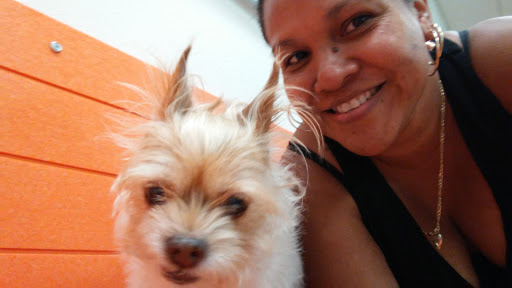 Pet Supply Store «PetSmart», reviews and photos, 4100 Ming Ave, Bakersfield, CA 93309, USA