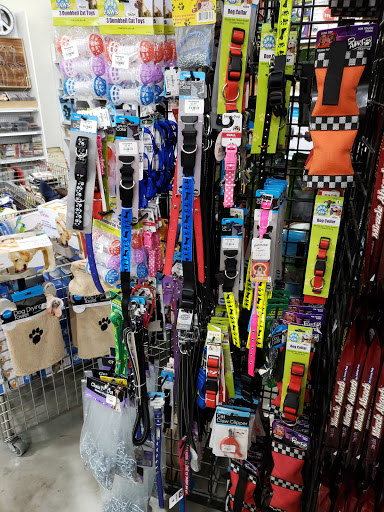 Thrift Store «Goodwill Wesley Chapel Superstore», reviews and photos, 2390 Willow Oak Dr, Wesley Chapel, FL 33544, USA