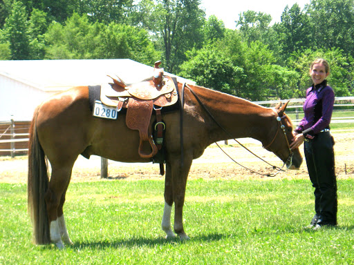 Horse boarding stable South Bend