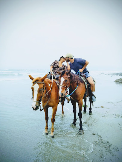 La Mision Beach Horseback Riding with Alex
