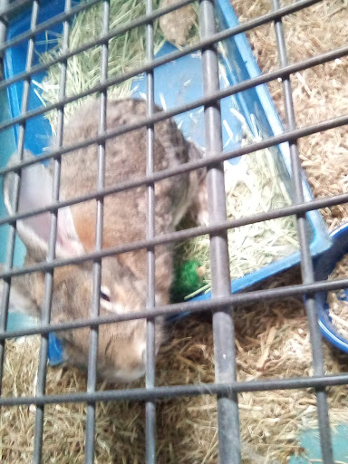 Pet Supply Store «Creative Pet Supply», reviews and photos, 305 N Harbor Blvd, San Pedro, CA 90731, USA