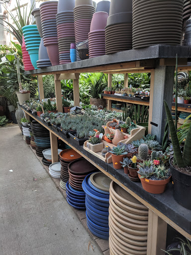 Florist «Metropolitan Plant & Flower Exchange Inc.», reviews and photos, 2125 Fletcher Ave, Fort Lee, NJ 07024, USA