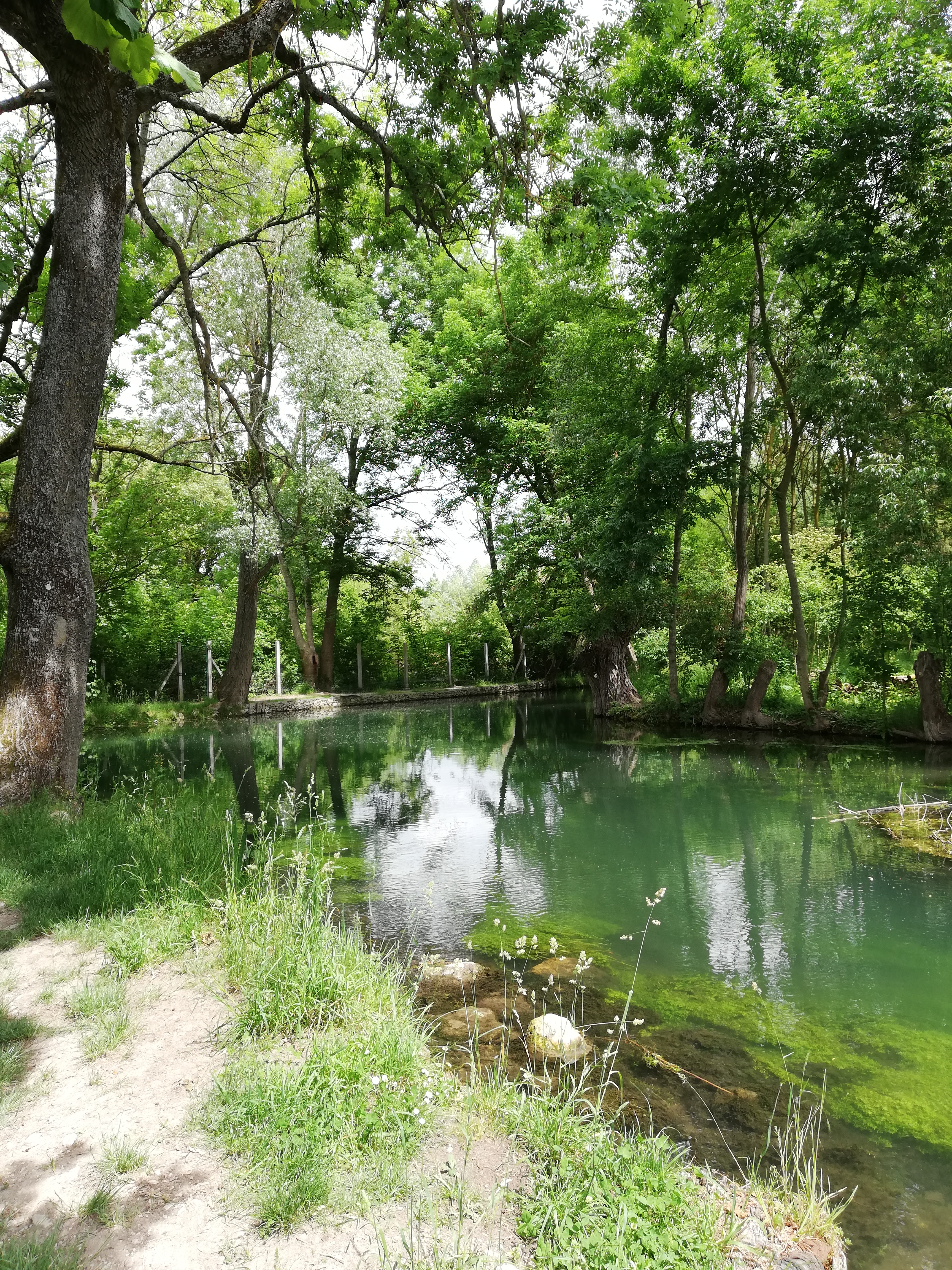 Photo n° 1 de l'avis de Miloute.i fait le 27/05/2019 à 16:19