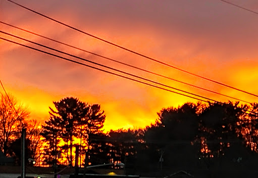 Grocery Store «Food Lion», reviews and photos, 945 N Main St b, Marion, VA 24354, USA