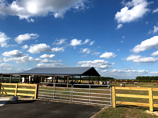 Gift Shop «Sunsational Citrus», reviews and photos, 700 N Central Ave, Umatilla, FL 32784, USA