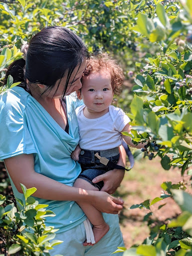 Produce Market «Mt Olympus Berry Farm», reviews and photos, 23298 Jefferson Davis Hwy, Ruther Glen, VA 22546, USA