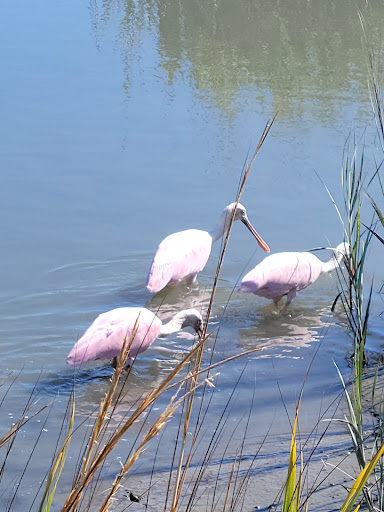 National Park «Atalaya», reviews and photos, Atalaya Rd, Murrells Inlet, SC 29576, USA