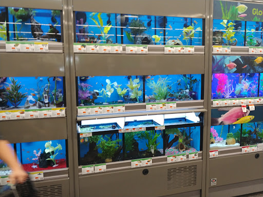 Pet Supply Store «Pet Supplies Plus», reviews and photos, 13360 W 87th St Pkwy, Lenexa, KS 66215, USA