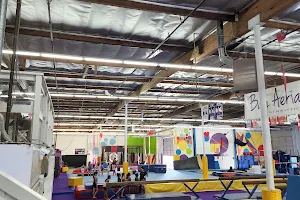 Bay Aerials Gymnastics image