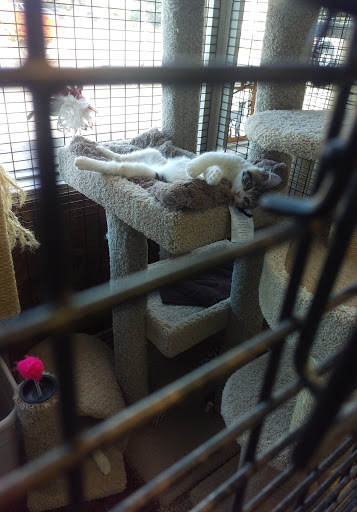 Pet Supply Store «San Mateo Pet Supply», reviews and photos, 346 El Camino Real, Redwood City, CA 94062, USA