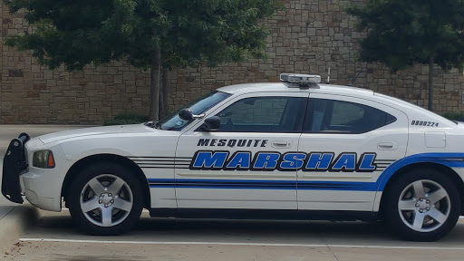 Law Firm «The Beltz Law Firm», reviews and photos