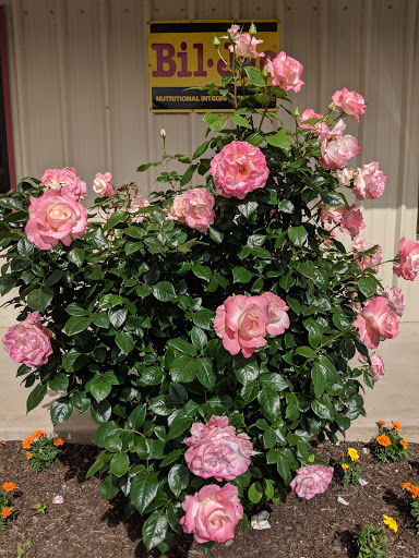 Tropical Fish Store «D-N-D Aquariums & Pet Shop», reviews and photos, 1016 S Armstrong Ave # 103, Denison, TX 75020, USA