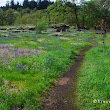 Camassia Nature Preserve