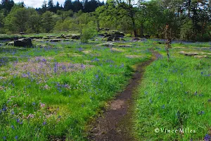 Camassia Nature Preserve image