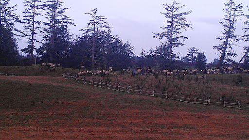 Country Club «Astoria Golf & Country Club», reviews and photos, 33445 Sunset Beach Rd, Warrenton, OR 97146, USA