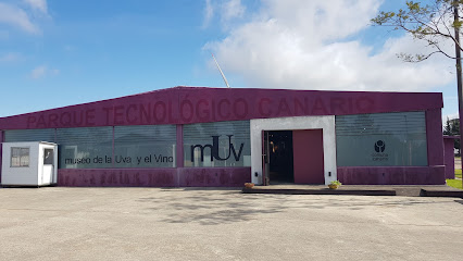 Museo de la Uva y el Vino
