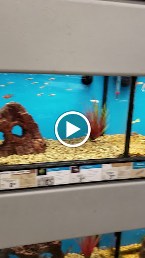 Pet Supply Store «Petco Animal Supplies», reviews and photos, 1660 Orchard Gateway Blvd, North Aurora, IL 60542, USA