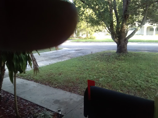 Night Club «Karl Reef», reviews and photos, 6307 Grand Blvd, New Port Richey, FL 34652, USA