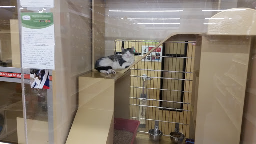 Pet Supply Store «PetSmart», reviews and photos, 241 Airport Plaza Blvd, Farmingdale, NY 11735, USA