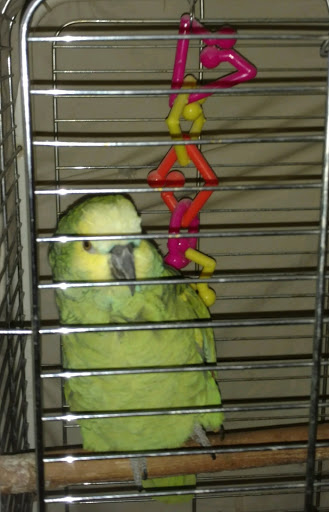 Pet Supply Store «Incredible Pets», reviews and photos, 649 Sutton Way, Grass Valley, CA 95945, USA