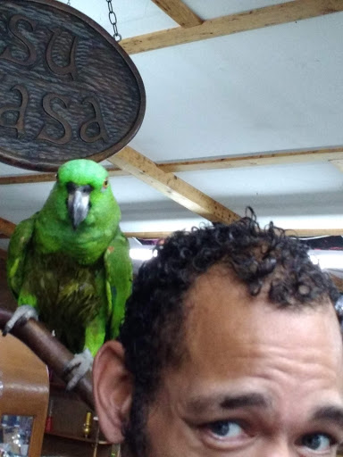 Boutique «Su Casa Boutique», reviews and photos, 1041 N Cedar St, Lansing, MI 48906, USA