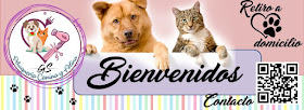 Peluqueria Canina y Felina GS