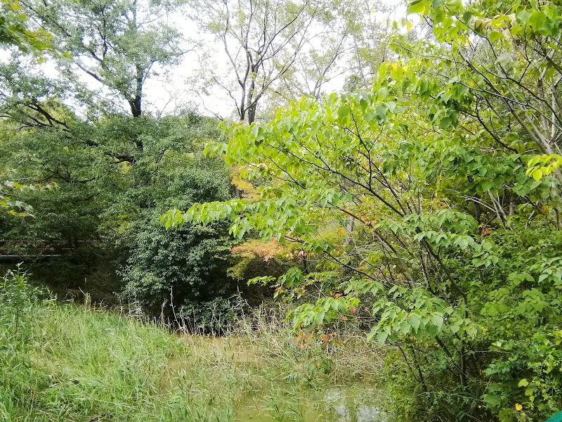 森林公園 植物園 展示館