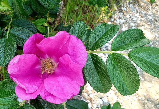 Nature Preserve «John H. Chafee Nature Preserve», reviews and photos, Boston Neck Rd, North Kingstown, RI 02852, USA