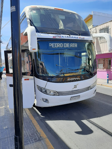 Buses Atacama 2000 - Calama