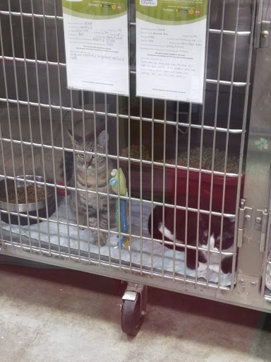 Pet Supply Store «PetSmart», reviews and photos, 12051 W Sunrise Blvd, Plantation, FL 33323, USA