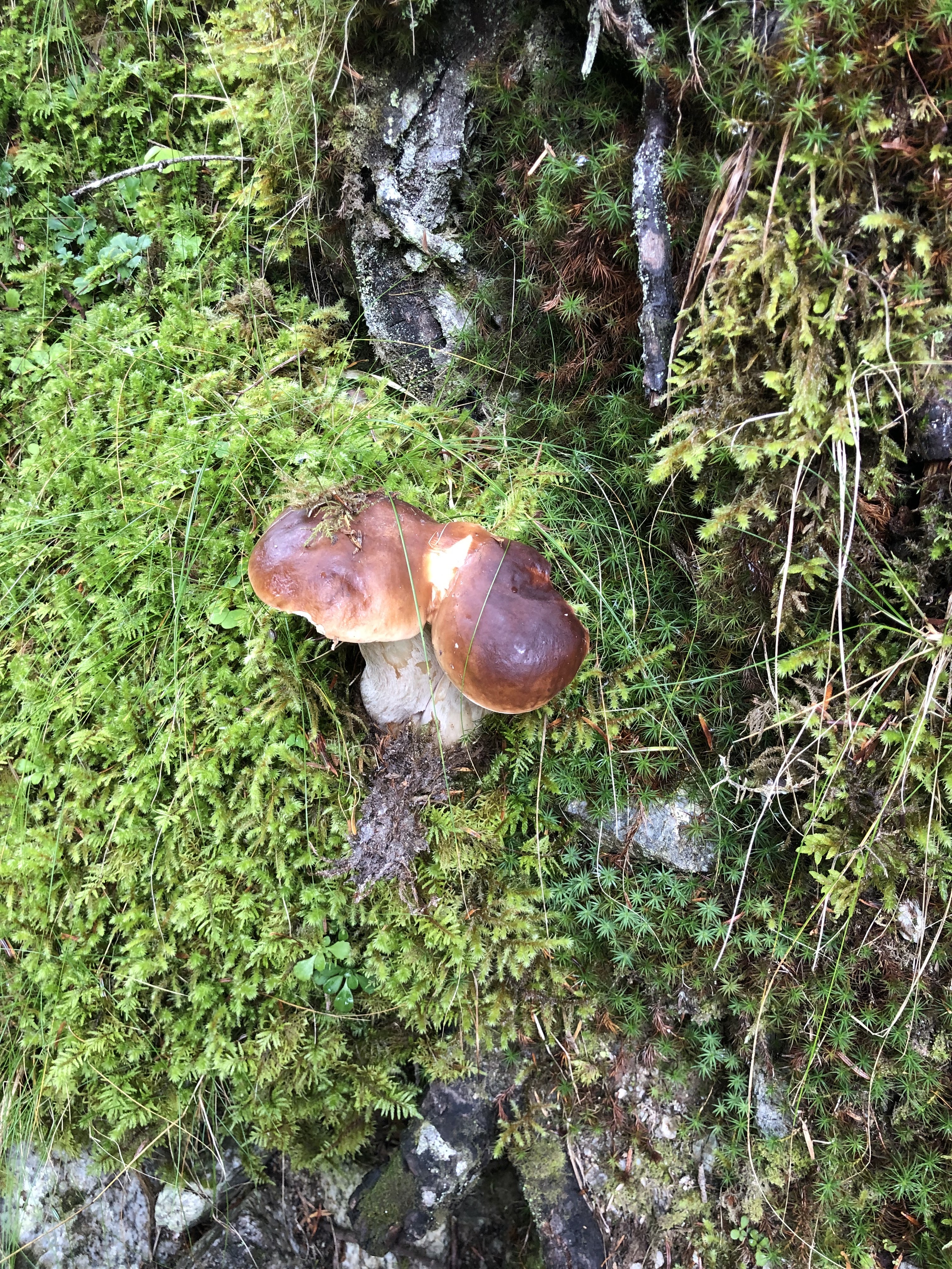 Photo n° 1 de l'avis de Safia.e fait le 13/03/2018 à 12:11