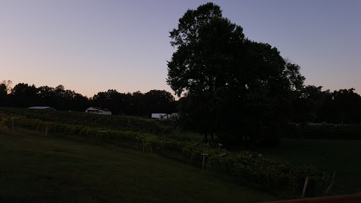 Winery «Cooper Vineyards», reviews and photos, 13372 Shannon Hill Rd, Louisa, VA 23093, USA