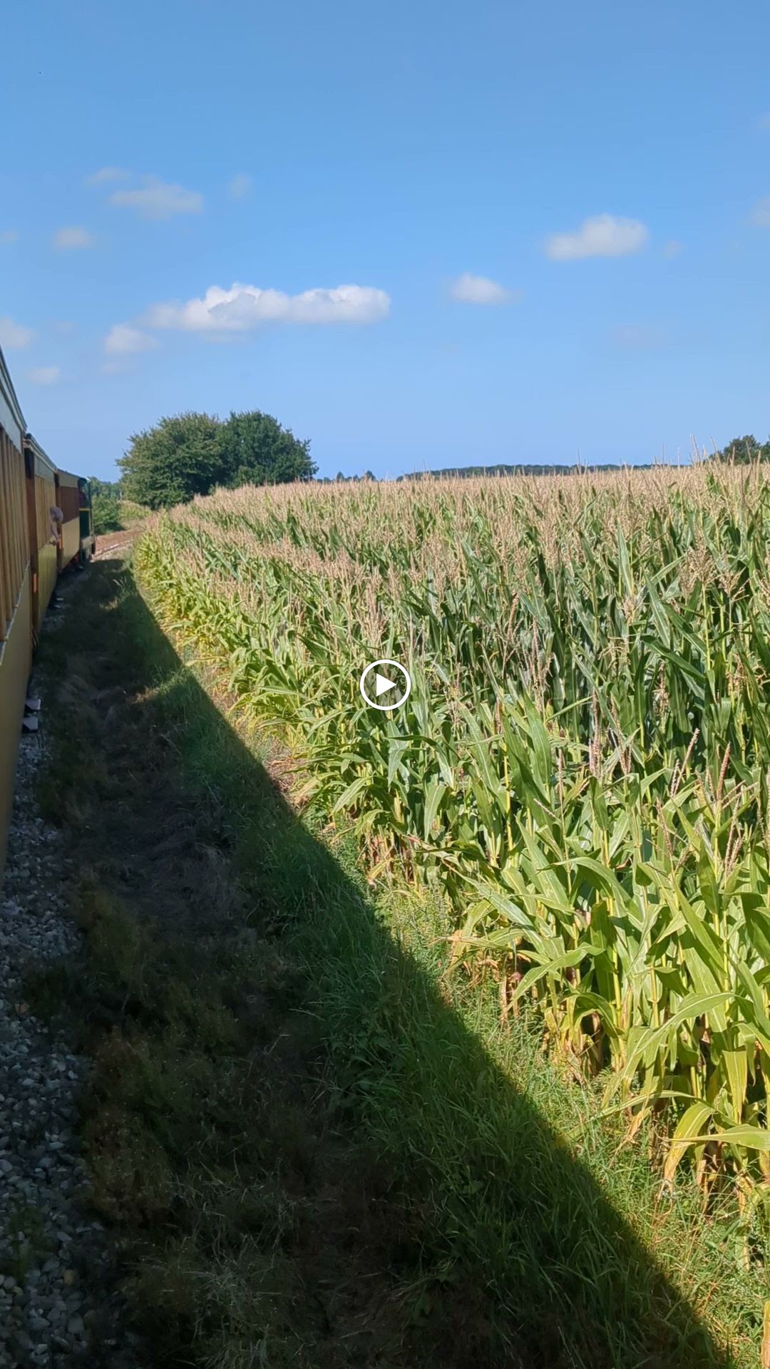 Photo n° 19 de l'avis de Pascal.a fait le 17/08/2023 à 22:27