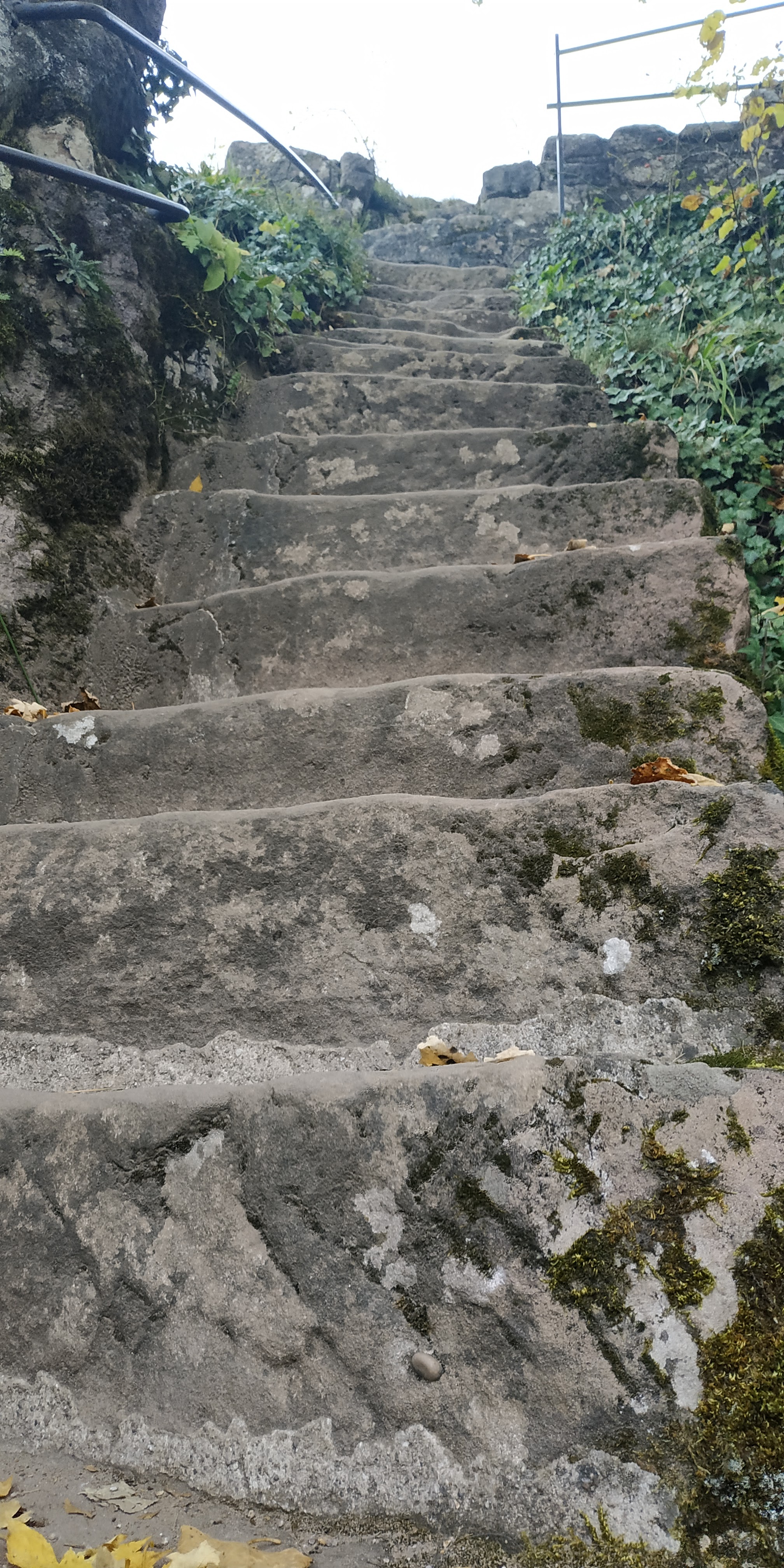 Photo n° 17 de l'avis de Sorti.u fait le 18/10/2021 à 08:32