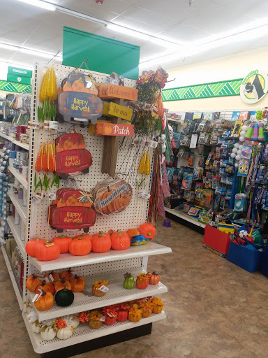 Dollar Store «Dollar Tree», reviews and photos, 170 Strickland Dr, Orange, TX 77630, USA