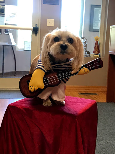 Auto Insurance Agency «Melanie Schelling - State Farm Insurance Agent», reviews and photos