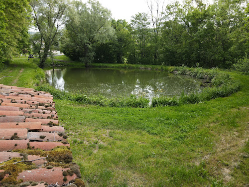 Etang de Benaud à Vic-le-Comte