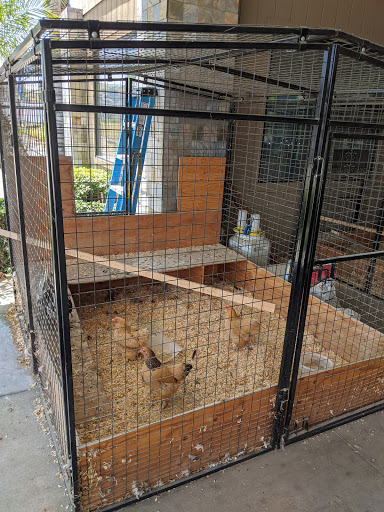 Used Car Dealer «Anaheim Pre-Owned Cars», reviews and photos, 2223 E Katella Ave b, Anaheim, CA 92806, USA