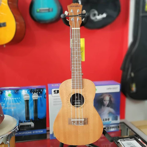 Tiendas de ukeleles en Guayaquil