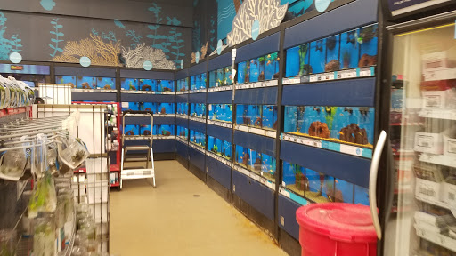 Pet Supply Store «Petco Animal Supplies», reviews and photos, 3480 Wilkes Barre Blvd, Wilkes-Barre, PA 18702, USA