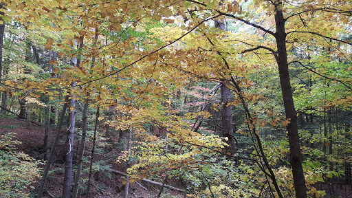 Gift Shop «Quechee Gorge Gifts & Sportswear», reviews and photos, 6053 Woodstock Rd, Quechee, VT 05059, USA