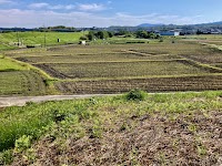 飯岡横穴