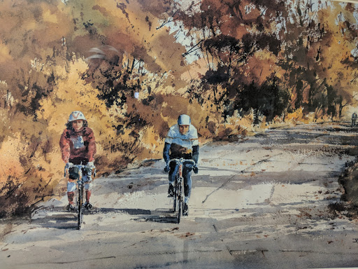 Bicycle Store «Bicycle Garage Indy», reviews and photos, 242 E Market St #101, Indianapolis, IN 46204, USA