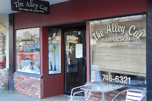 Alley Cat Hair Design The