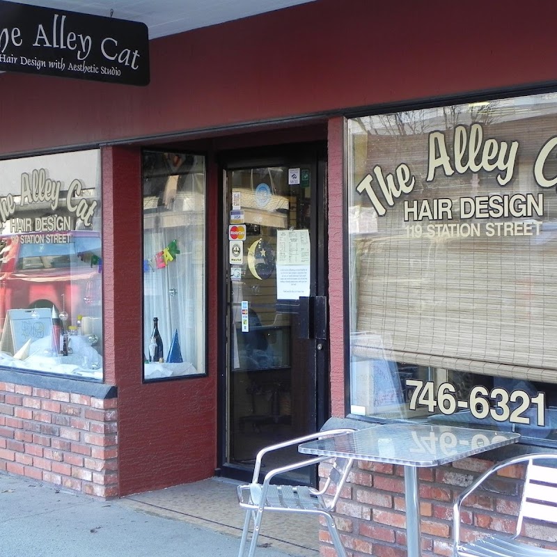 Alley Cat Hair Design The