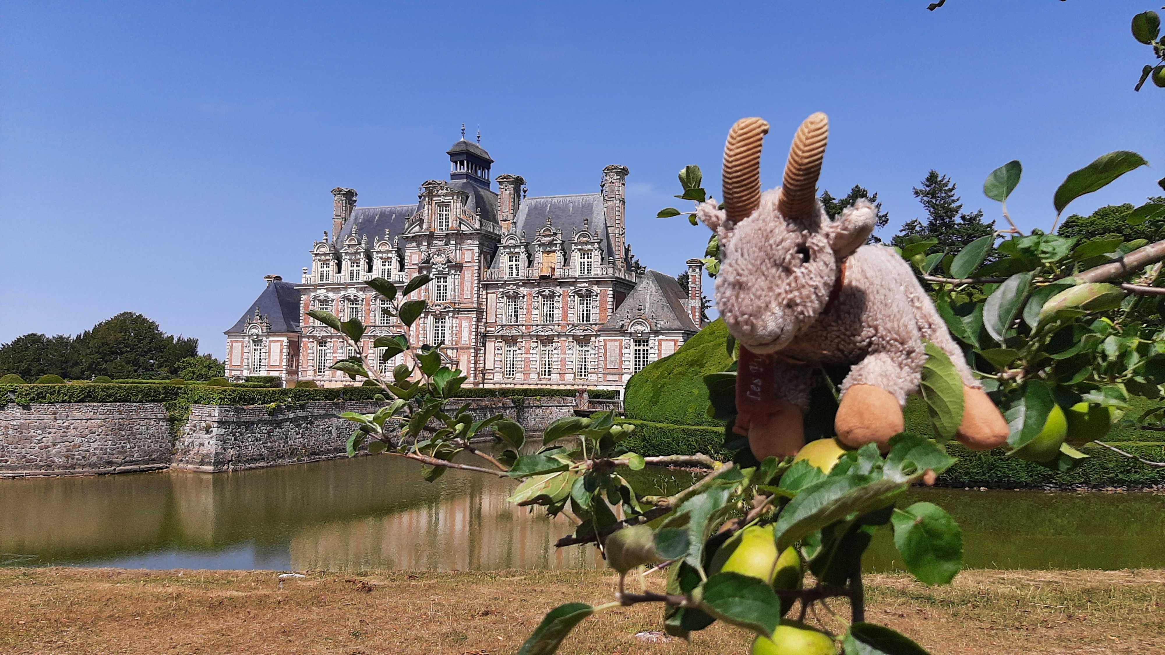 Photo n° 19 de l'avis de Armando.a fait le 18/07/2022 à 07:06