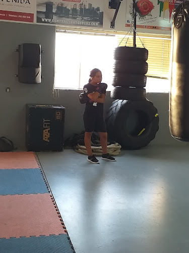 Escola Boxe Portimão - Outro